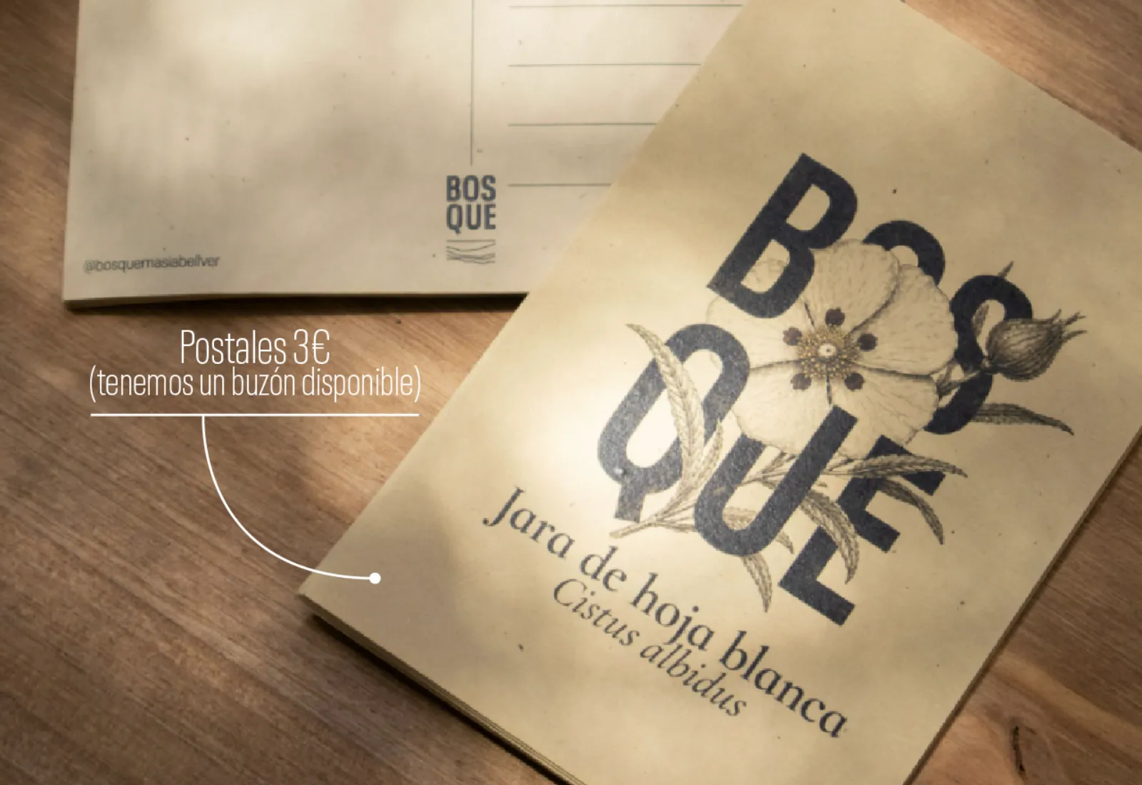 Artículo de la tienda de Bosque 9