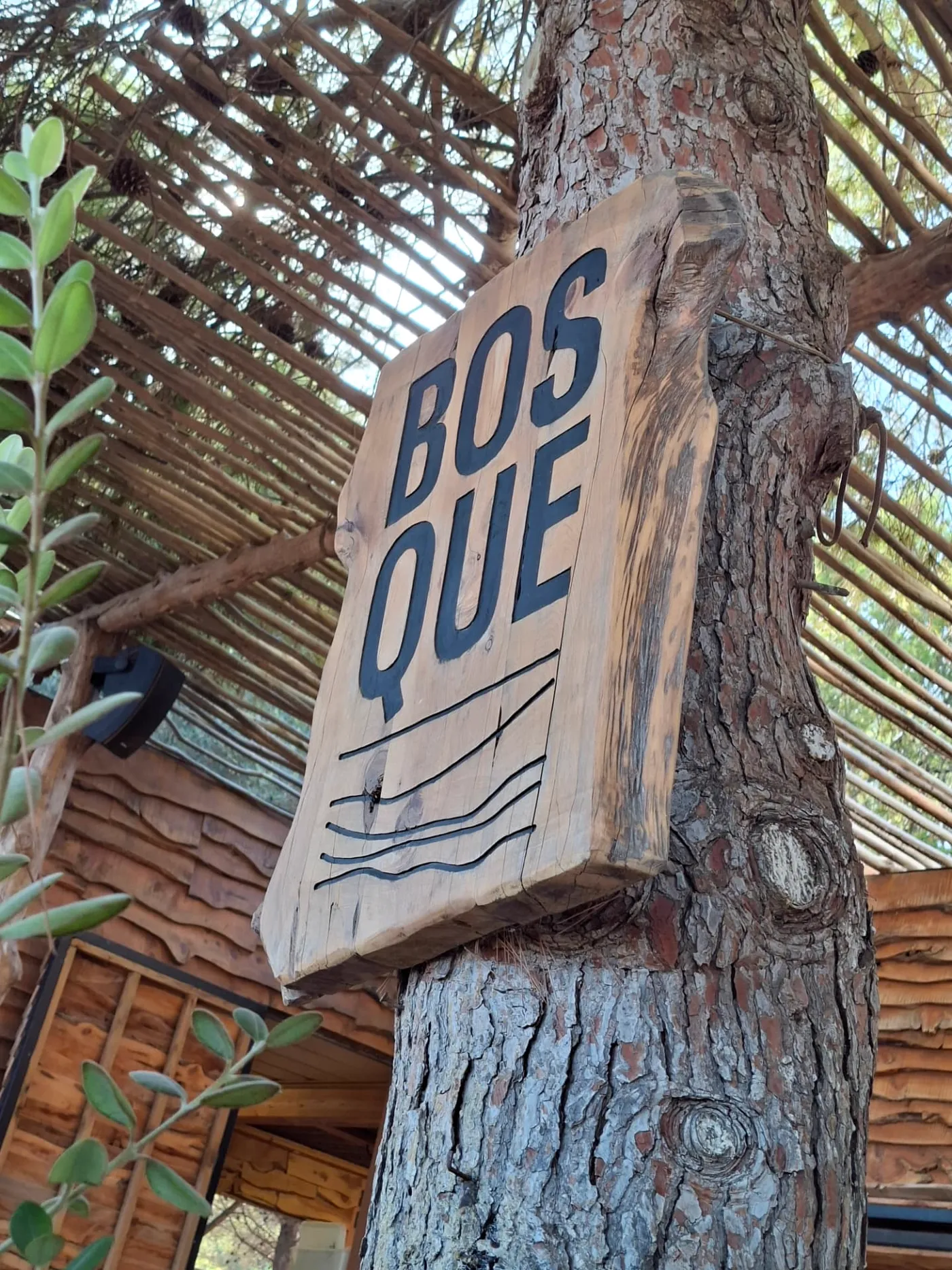 Cartel de madera tallado con el nombre Bosque sobre el tronco de un pino.